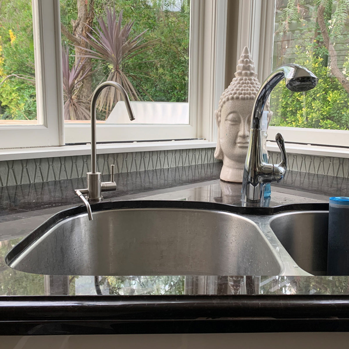 Ionizer Faucet 04 - Satin Nickel